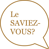 Bulletin CPA - 28 novembre 2025 7 LSV 2MP