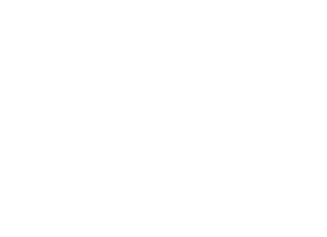 Vector 1