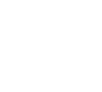 Vector 2