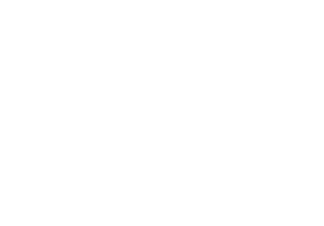 Vector 3
